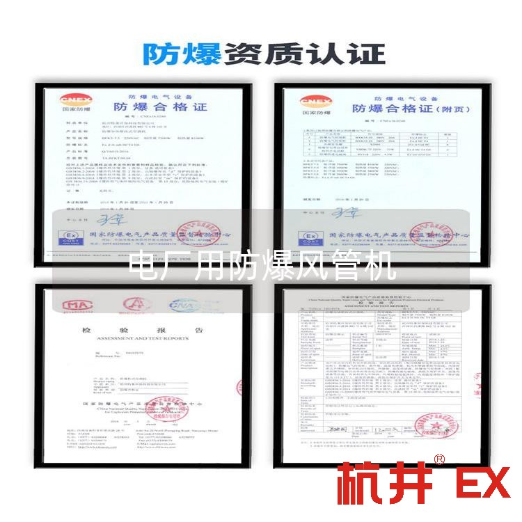 電廠用防爆風(fēng)管機(jī)